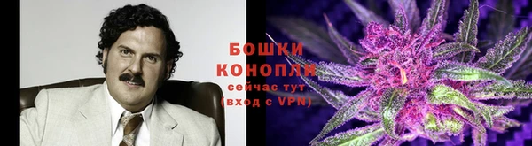 тгк Зеленодольск