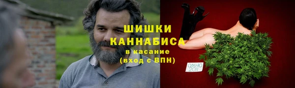 тгк Зеленодольск
